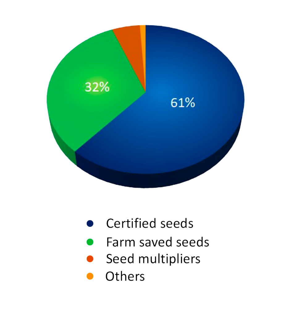 Aegilops applications